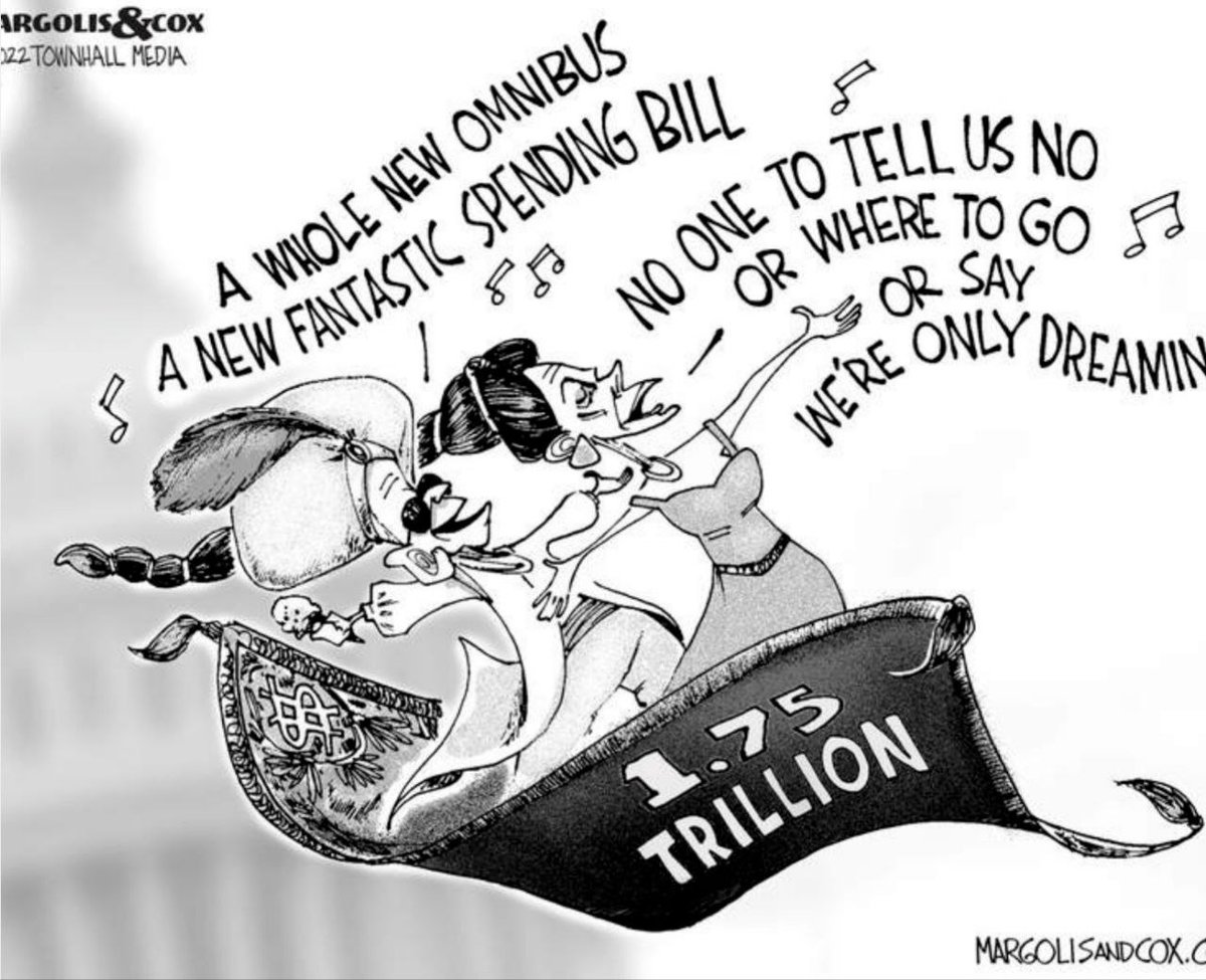 hadwin42's tweet photo. Because reading isn't required to pass a bill...but no, this won't make inflation worse, that's ridiculous! #OmnibusBill #welcometothesystem https://t.co/OmBpxEpElz