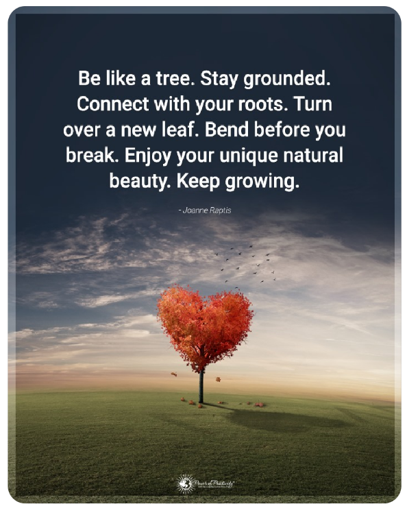 JillGumbs's tweet photo. Keep growing, keep sowing...💕 https://t.co/Sc4UKNPetZ