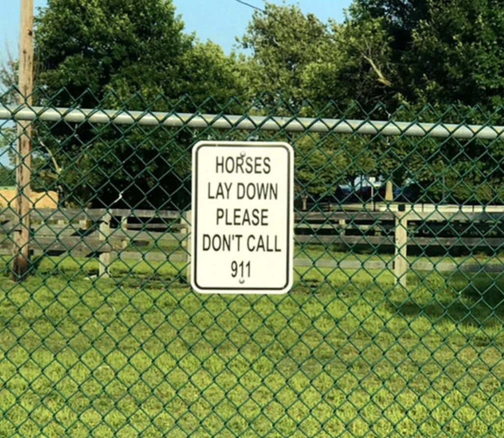 Wordless Wednesday: Just Horsing Around  Not gonna lie, the first time I saw a horse lying down in the grass 
I circled the car back around to do a double take.
Looks like I'm not the only one. 😅mail4rosey.com/2022/12/wordle…