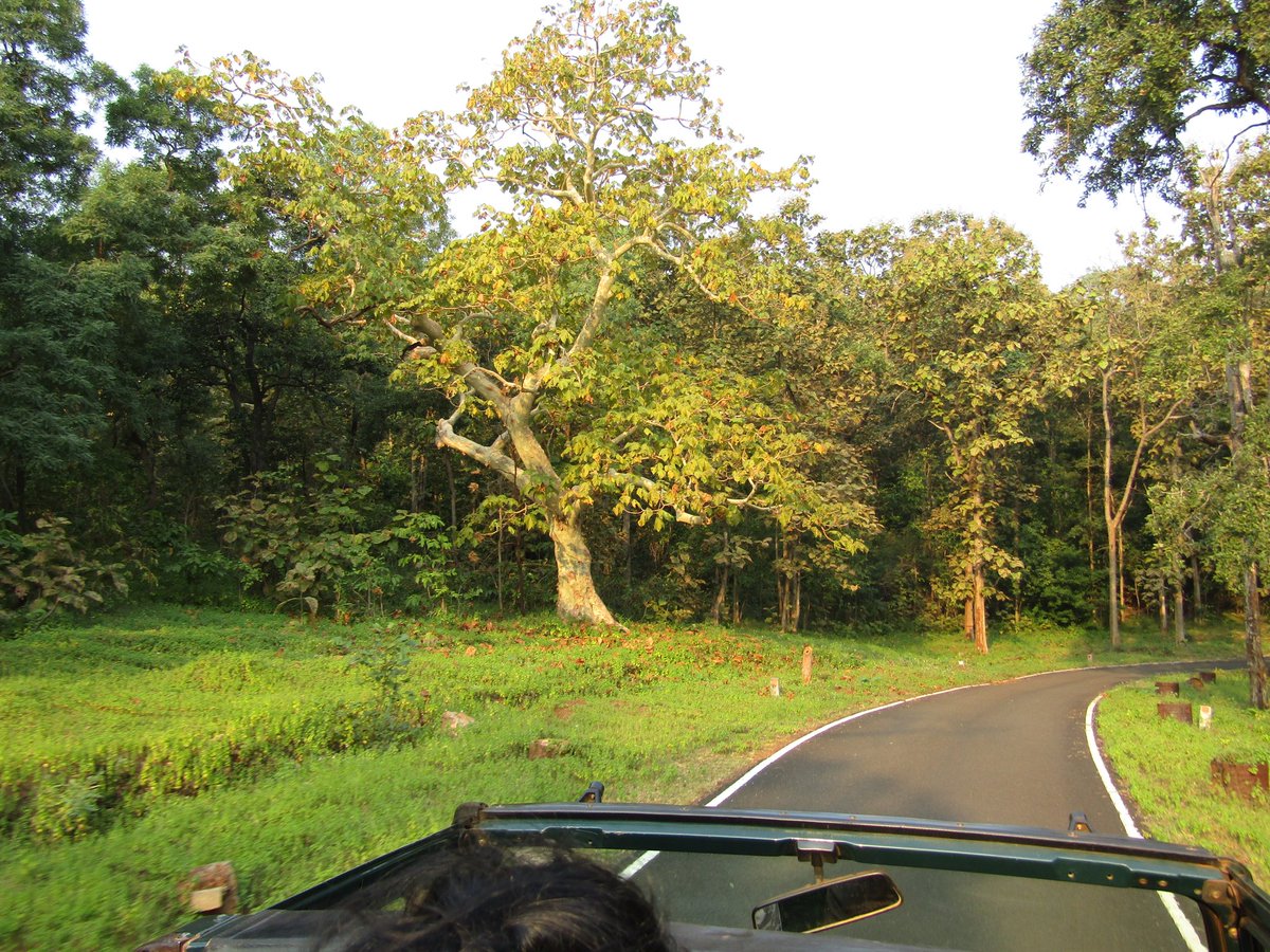 Janasena Party Serilingampally tweet media