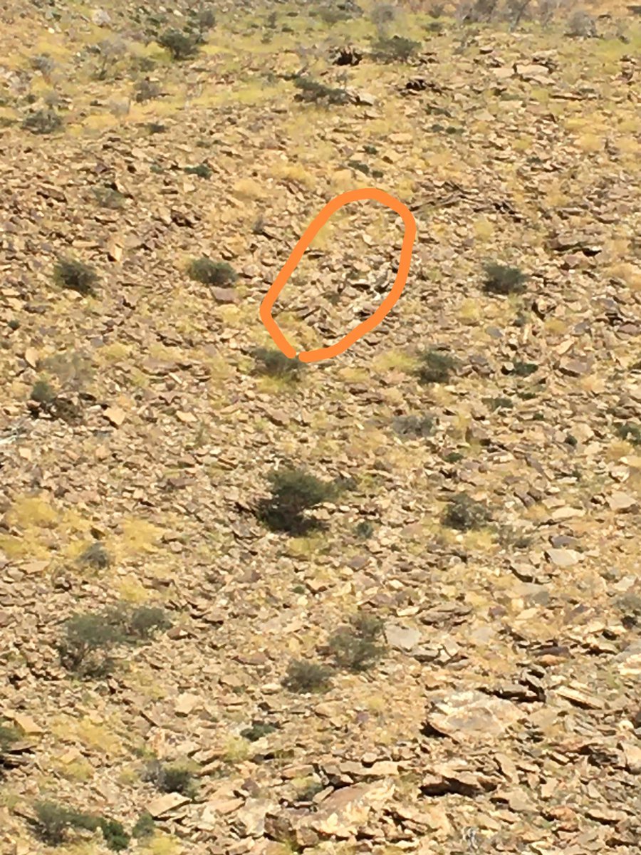 sultan18461's tweet photo. @Mohammed_90_2 https://t.co/vV2jqiJWQ6