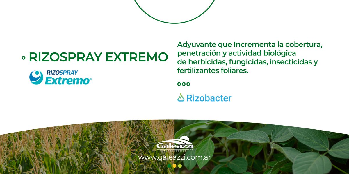 Galeazzi_sa's tweet photo. ▪️RIZOSPRAY EXTREMO
#Adyuvante potencia incorporación de herbicidas, fungicidas, insecticidas y fertilizantes foliares.
Tecnologia @RizobacterARG
Es lo que tu cultivo necesita
Pedilo 📲 y lo llevamos a tu campo.
#Galeazzi
#Agronegocios
#RizosprayExtremo
#Soja #Maíz #Rinde https://t.co/v2b3HEB9Ng