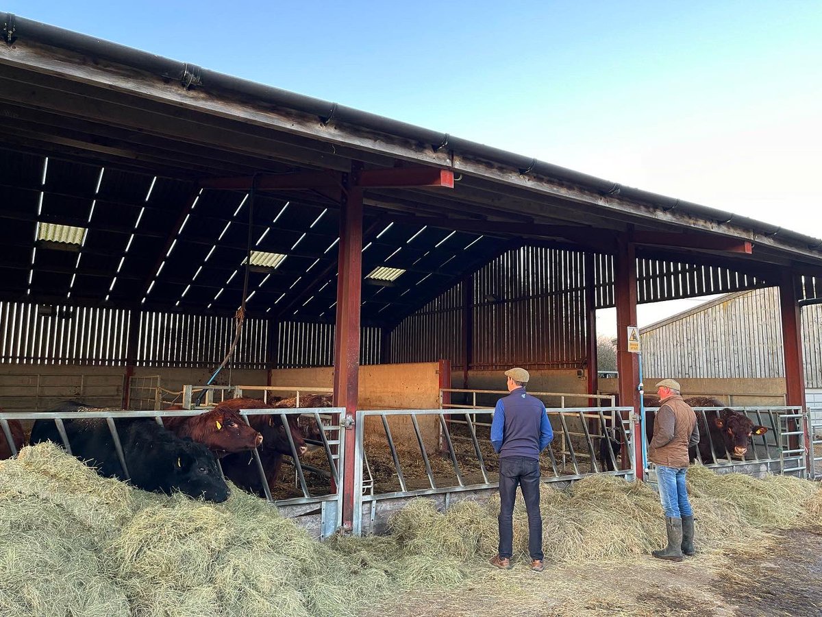 Our consultants have been busy visiting farms as part of the #FutureFarmResilienceFund even on the shortest day of the year! Get in touch with us if you are interested in #freefarmbusinessadvice &amp; we can organise to come out and see you in the New Year.
#WinterSolstice #FFRF
