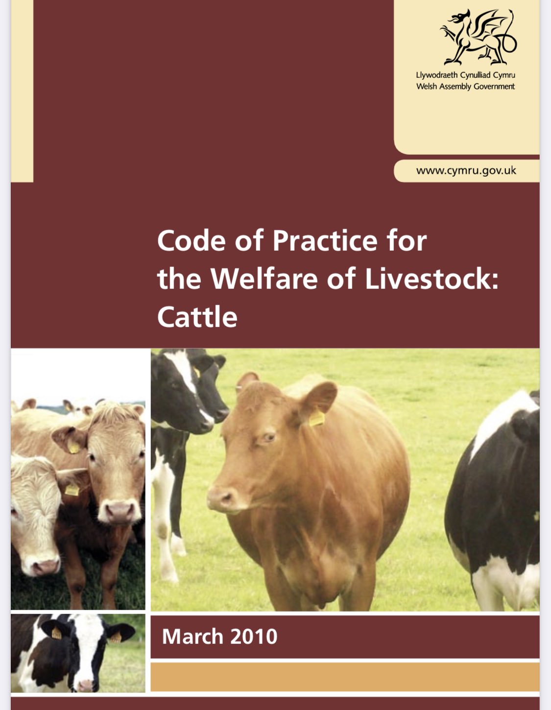 Farmers Of The UK on Twitter "After the Genus visit I introduced the Cattle Welfare Codes to