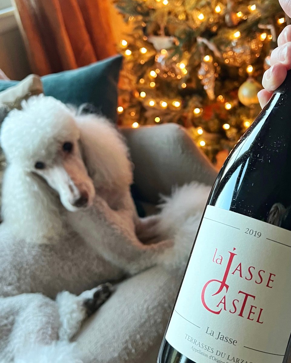 bear_wines's tweet photo. Feeling fancy, cuddly and warm? We got you covered with this luscious red wine made from organic grapes by the gorgeous wine maker Madame Pascale Riviere. #bestofclass #lajassecastel #terrassesdularzac #christmasdogs #instadogs
Check out our best of class affordable, small batc https://t.co/6m4szRrBHA