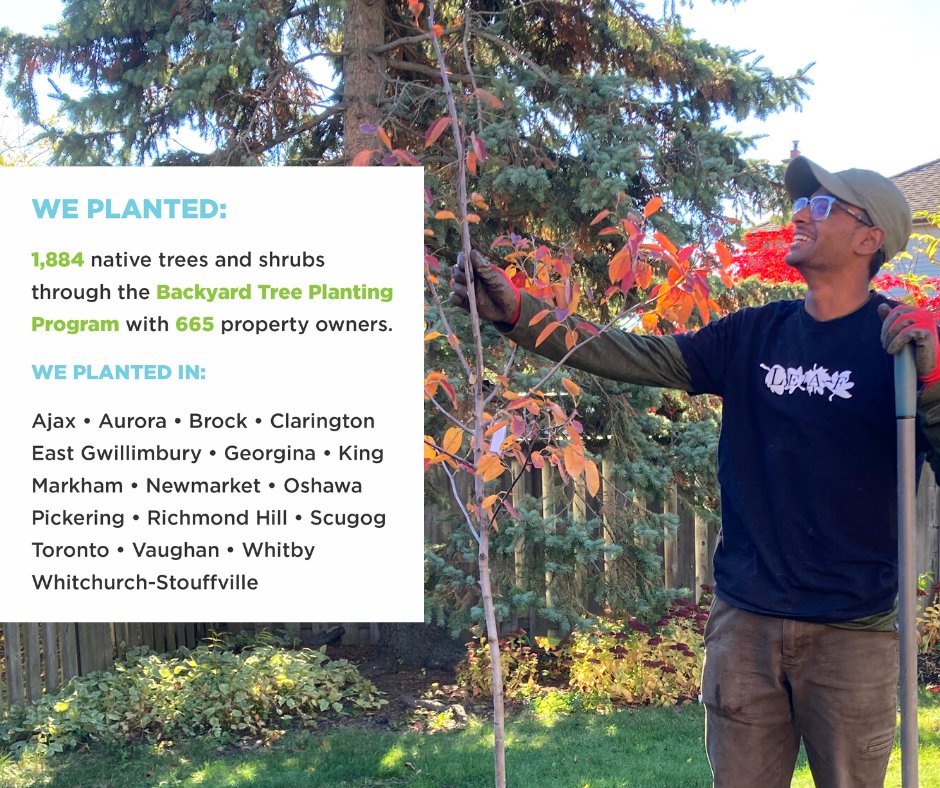 Can you be-LEAF we planted 1800+ native trees &amp; shrubs this year through our #BackyardTreePlantingProgram? TREE CHEERS to our Planting Team &amp; HUGE thanks to everyone who grew the urban forest with us last year! More 2022 highlights in our Annual Report: bit.ly/3Y7IfRB