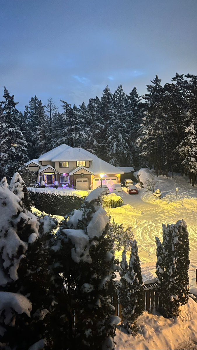 KellyInLangford's tweet photo. Snow days don’t really count when you work from home but the view is gorgeous! #yyjsnow #yyj #WorkFromHome https://t.co/GU8e23DJiE