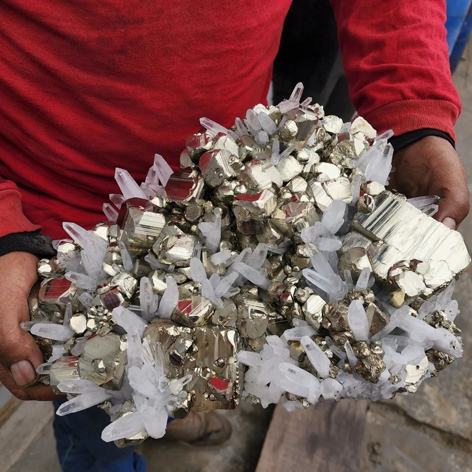 GeologyTime's tweet photo. Absolutely Gorgeous Big pyrite cluster with Quartz...16 kg

Photo copyright © Nacrystals/IG

#minerals #crystals #gems https://t.co/RyreYmrQv8