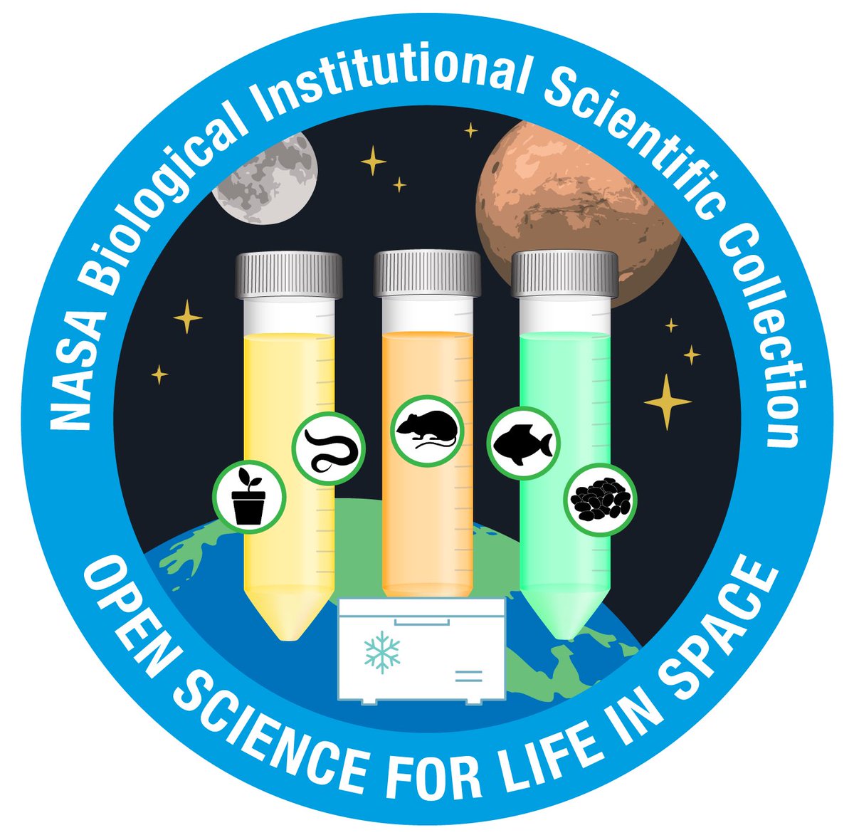 RyanTScott's tweet photo. Apply to join the #OpenScience for life in space team 🚀as Support Scientist to collect, identify, document, long-term preserve, lyophilize, distribute space-related microbial isolates 🧫 #Microbiologist #microbes

🦠Info🔗 https://t.co/TCHoCgs9J6
Apply🔗 https://t.co/DiC5rGKbss https://t.co/imY9aVoe1S