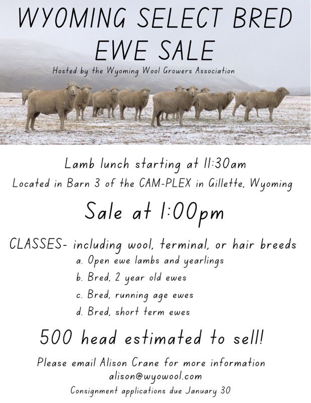 wyowool's tweet photo. The Wyoming Wool Growers are excited to announce the upcoming Wyoming Select Bred Ewe Sale in Gillette on February 25! More details to come! https://t.co/HqTsIiQ44f