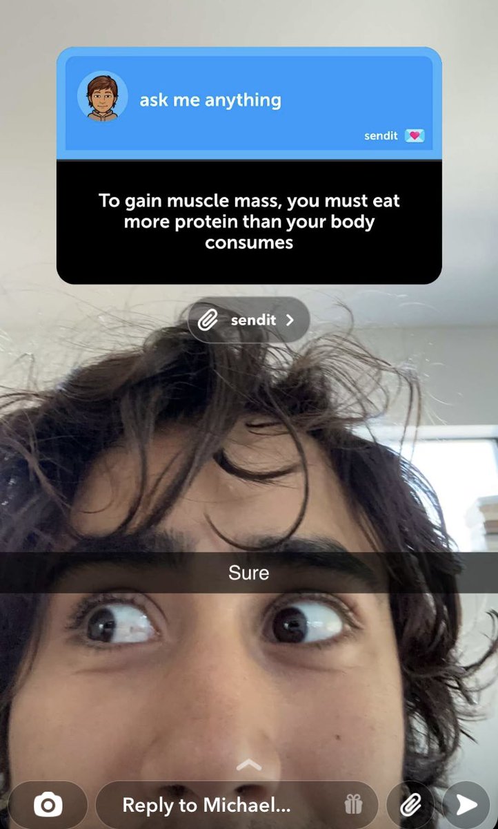 CiminoUpdate's tweet photo. “Sure”—@_michaelcimino_ via snapchat stories https://t.co/Zp9ANoiBiw
