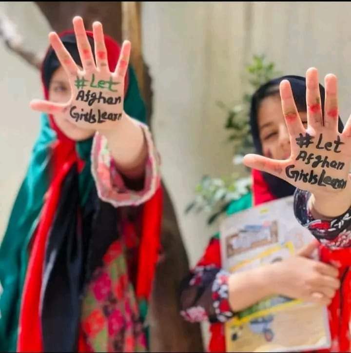 ShukoorOrk's tweet photo. د جهالت ابۍ دې مړه شي...........
چې نور بې علمه بچي نه راوړي مَیينه.
#LetAfghanistanGirlsLearn https://t.co/irnCzZ8qpn