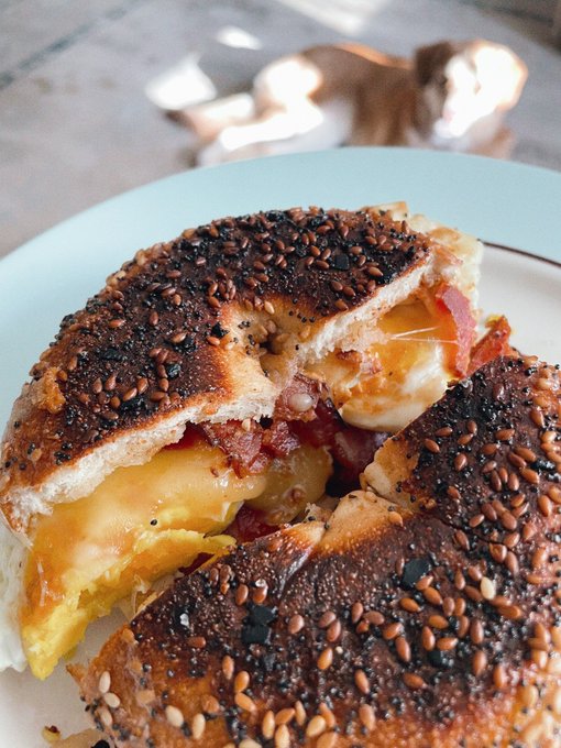 I never burn the eggs.
I never burn the bacon.
But I always, without fail, 
burn the bagel. https://t