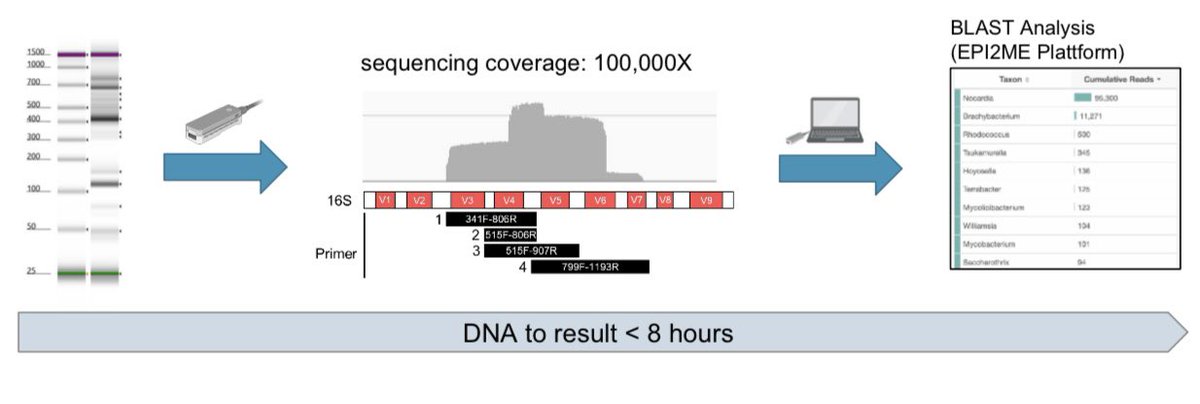 thomachr87's tweet photo. DNA-to-answer time < 8 hours https://t.co/Wsx2McOnc9
