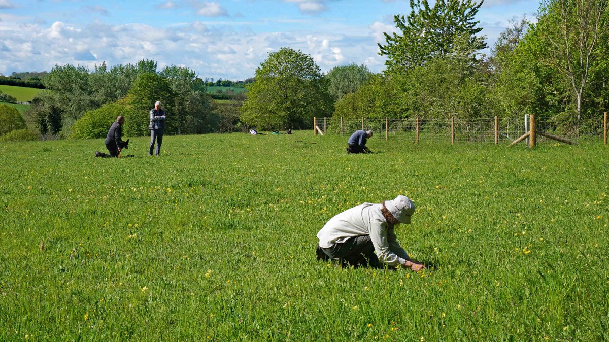 BCWarwickshire's tweet photo. If you would like to join a practical work party, drop us a message 😀 They are a lot of fun! (🧵 2/2) #workpartywednesday #volunteering #practicalconservation
📷 Tony Penycate https://t.co/Hy5B1YKKxh