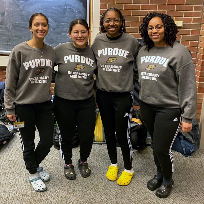 pucvm's tweet photo. When you all show up to your finals in the same outfit and represent Purdue at the same time… That’s what we call #PVMFamily!

#PurdueVetMed #PurdueUniversity #BoilerUp #Boilermakers #BeAPurdueVet #FutureDVM #PurdueDVM https://t.co/jmaC2XDwLX