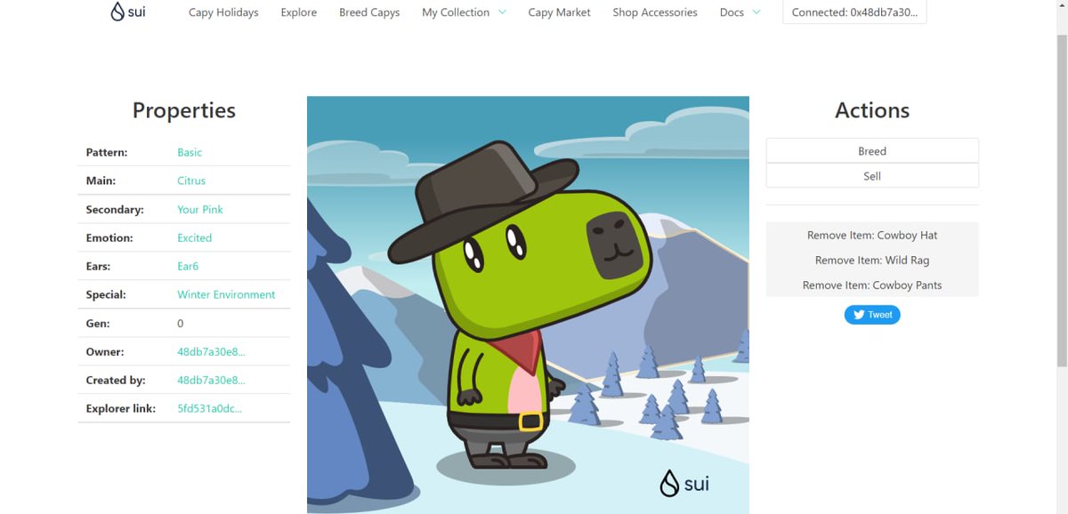 emadzaeimm's tweet photo. I just unboxed my Sui Holiday Capy! ❄️ 
Create your own Capy here:  https://t.co/BVmDrTDsvH #CapyHolidays https://t.co/PZRHwSX7G9