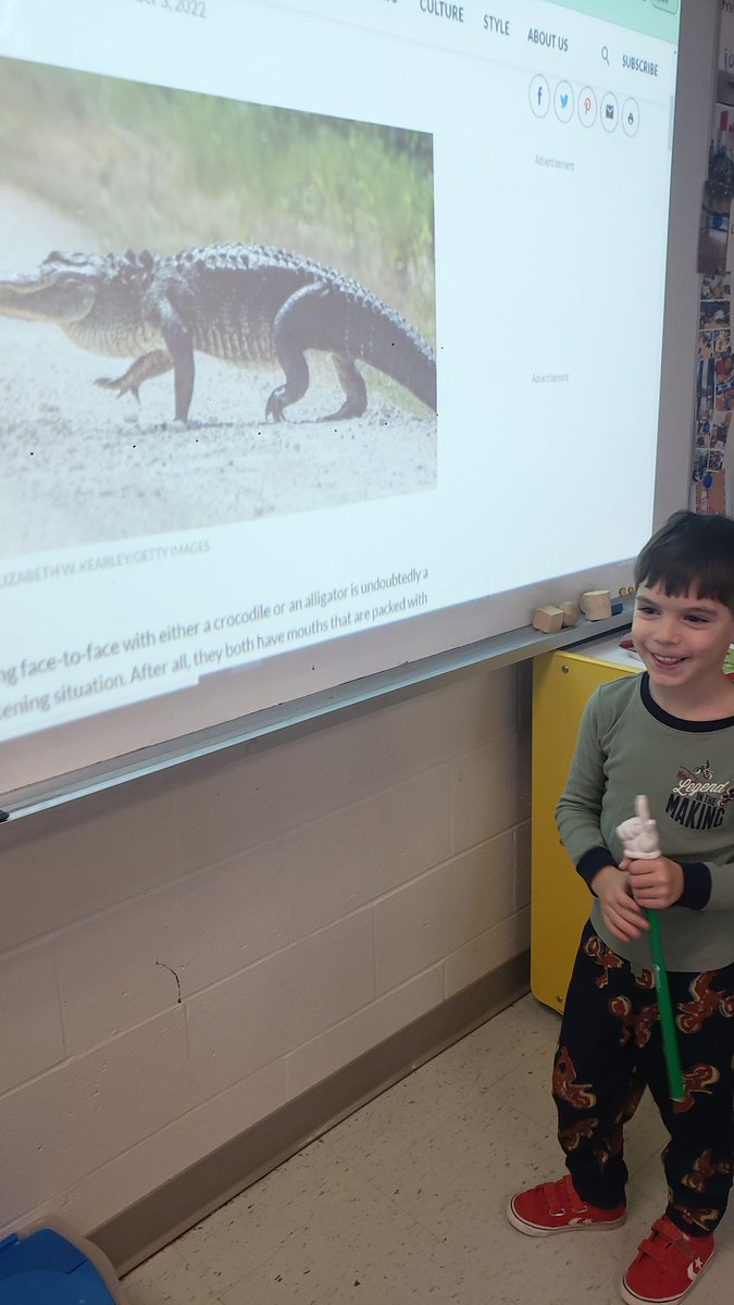 amisen114's tweet photo. Ami du jour! #classleader #Kindergarten2022 Our friend loves crocodiles 🐊 and alligators! https://t.co/wA1k06k4NQ