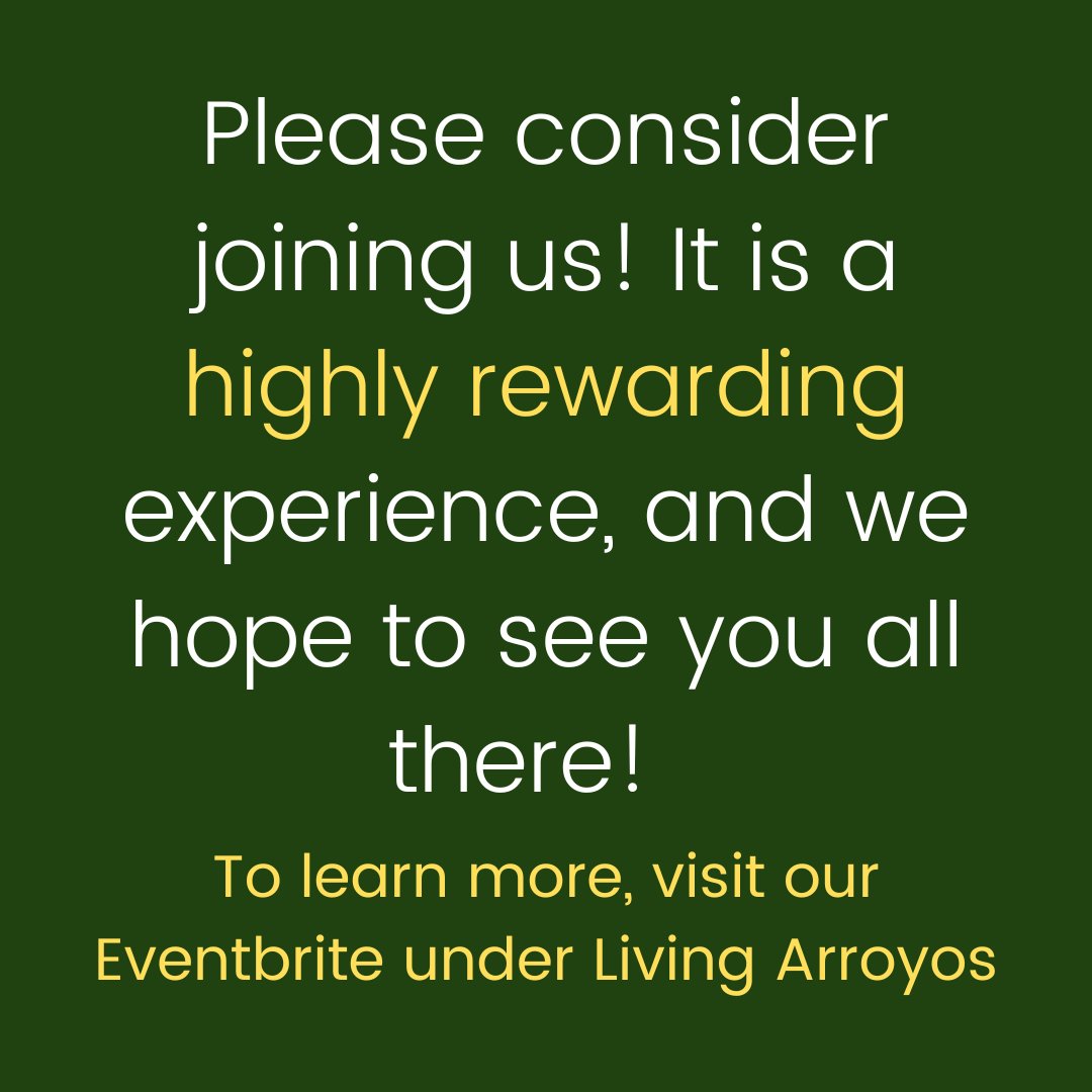 We have an upcoming volunteer event!

Saturday, January 7th, 2023 Living Arroyos will be holding a creek cleanup at the Stanley Reach. Spread the word! We hope to see you all there. 😊