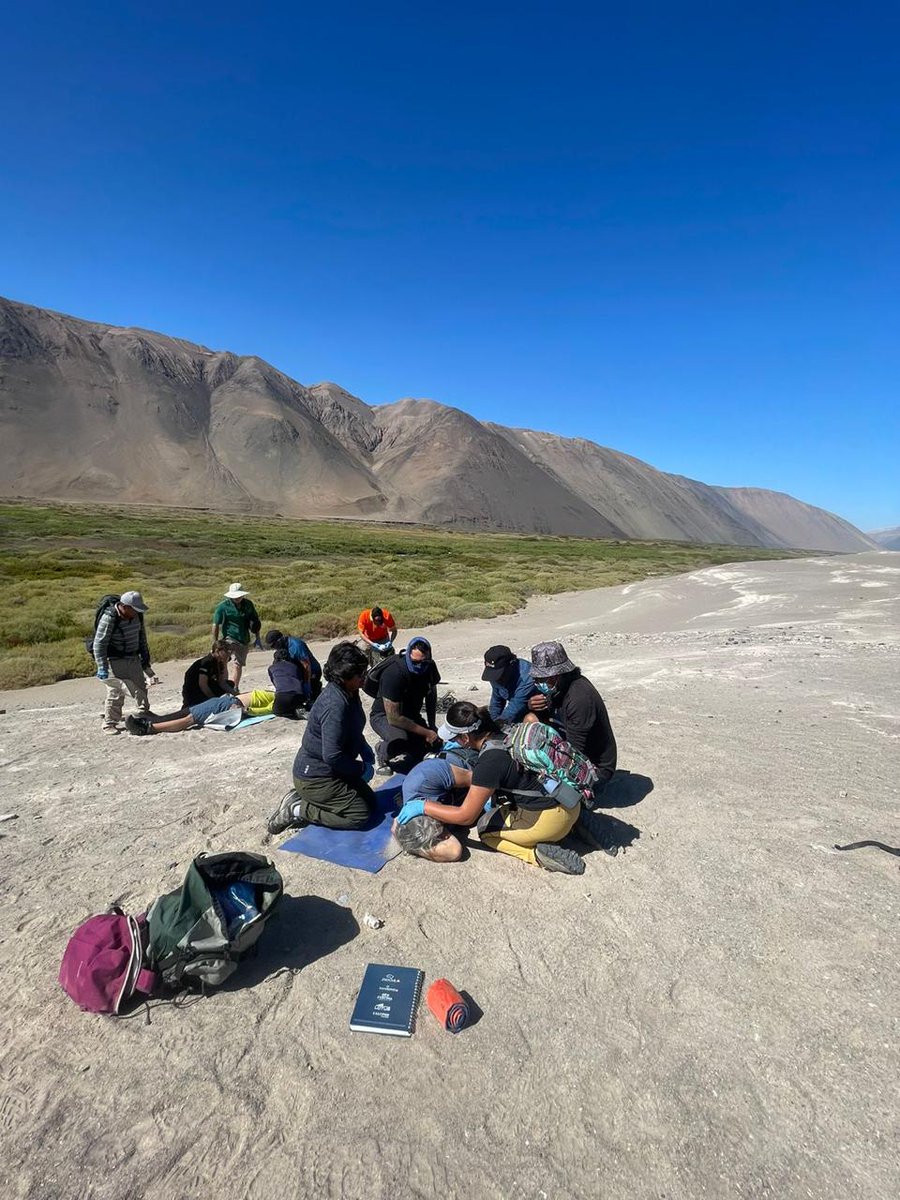 MurilloPartners's tweet photo. Programa de certificación en Primeros Auxilios Avanzados (WAFA), beneficiando a 17 Guías Turísticos de Arica y Parinacota. 🏕️ 🌵 ☀️
#murilloypartners #sernatur #turismoarica #aricaparinacota #turismochile #turismoaventurachile #primerosauxilios #wafa https://t.co/4WRs3G9pxS