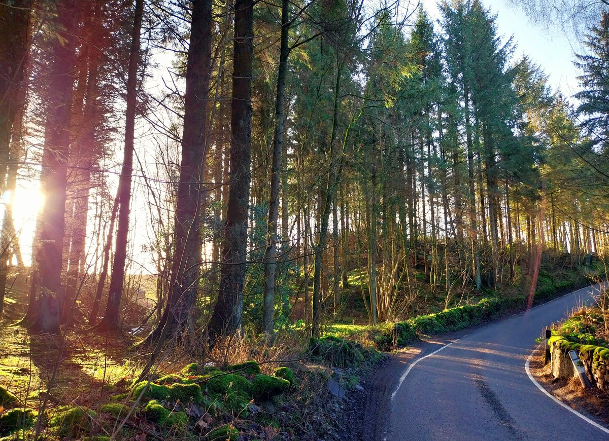 mary_wilko's tweet photo. Out, out & now the days will get longer π Happy Shortest Day!
#wintersolstice #cycling #cyclinglife #training #bikes #bikeride #camelchops #getoutside #getoutmore https://t.co/SLCmrJHxAm
