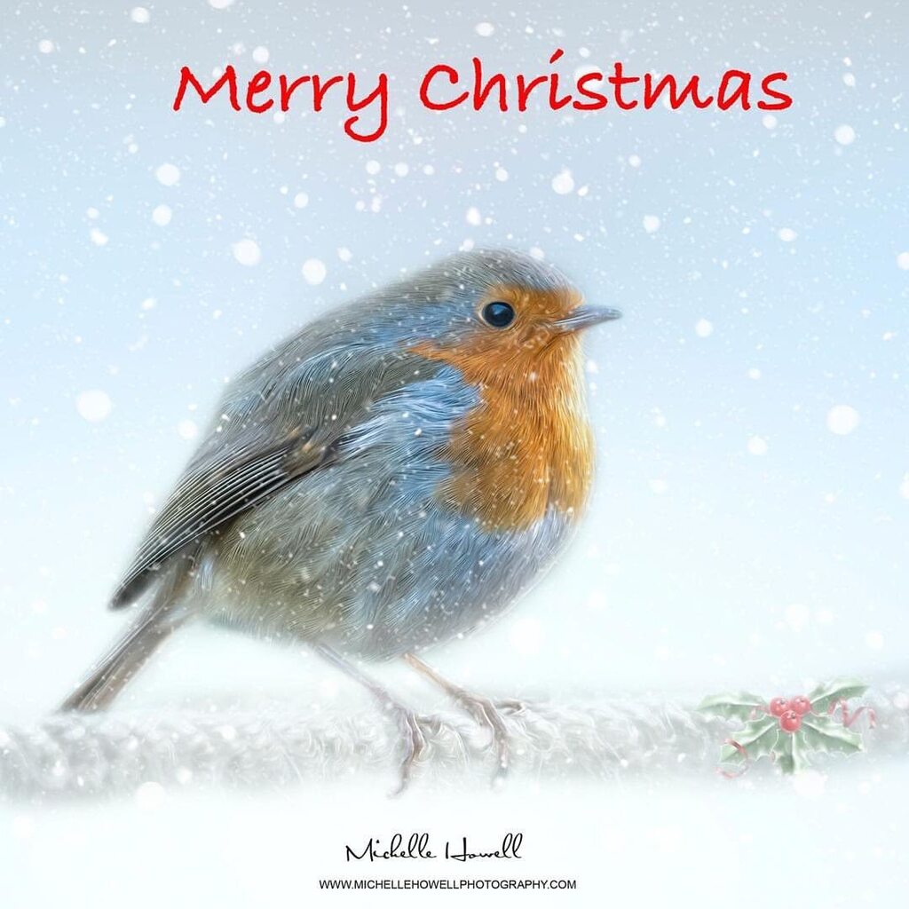 mich_howell's tweet photo. #wintersolstice today, and also #nationalrobinday
@michellehowellphotos
#robinsofinstagram #robin #winter #solstice #xmas #christmas #birdsofinstagram #britishgardenbirds https://t.co/10AtNbQcXu