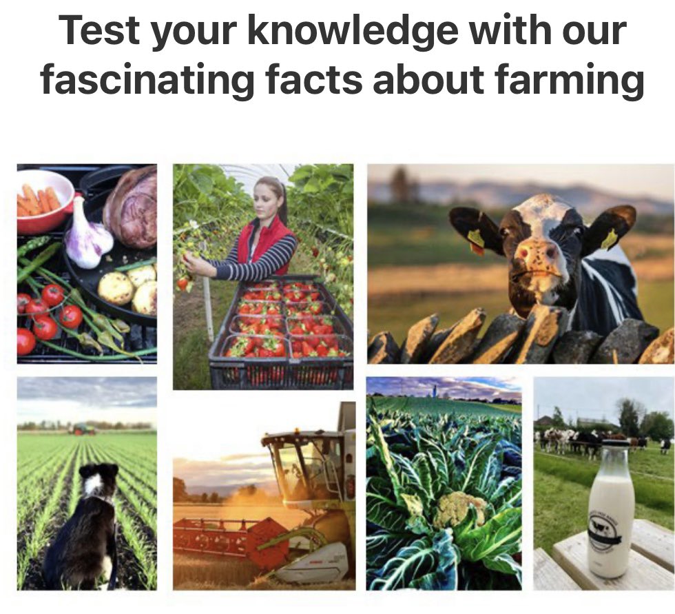 Anthony Snell tweet media