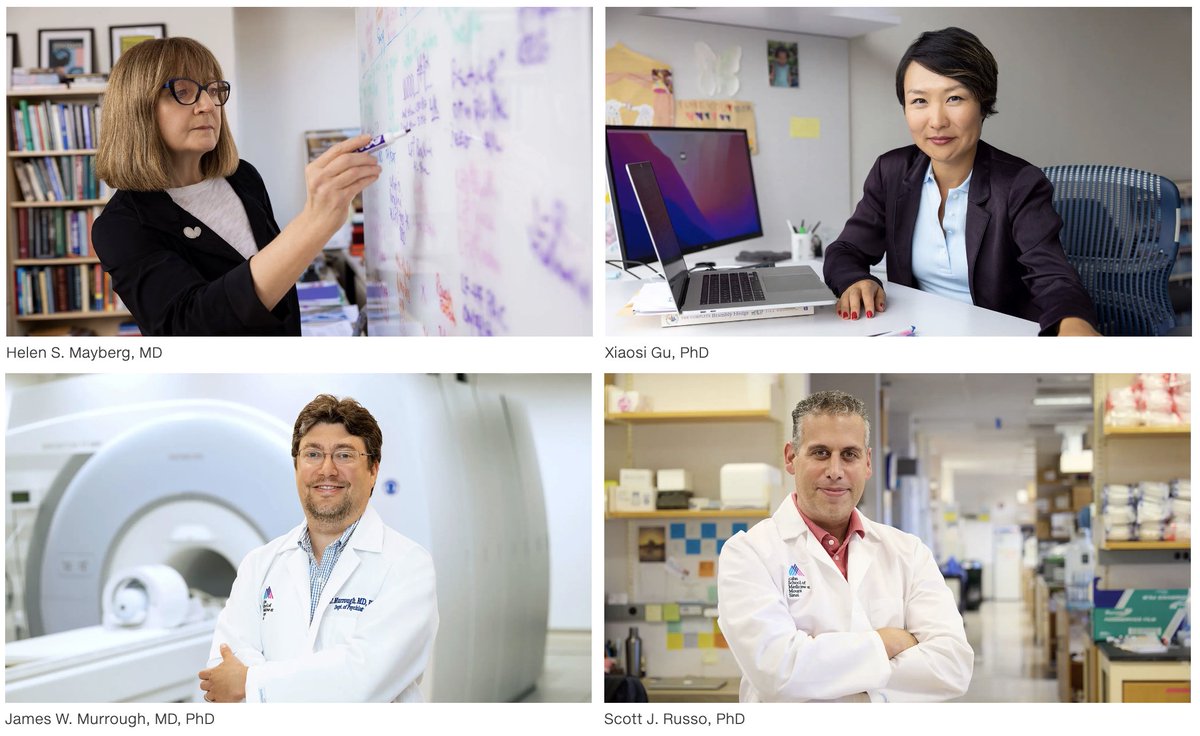 Friedman Brain Institute tweet media