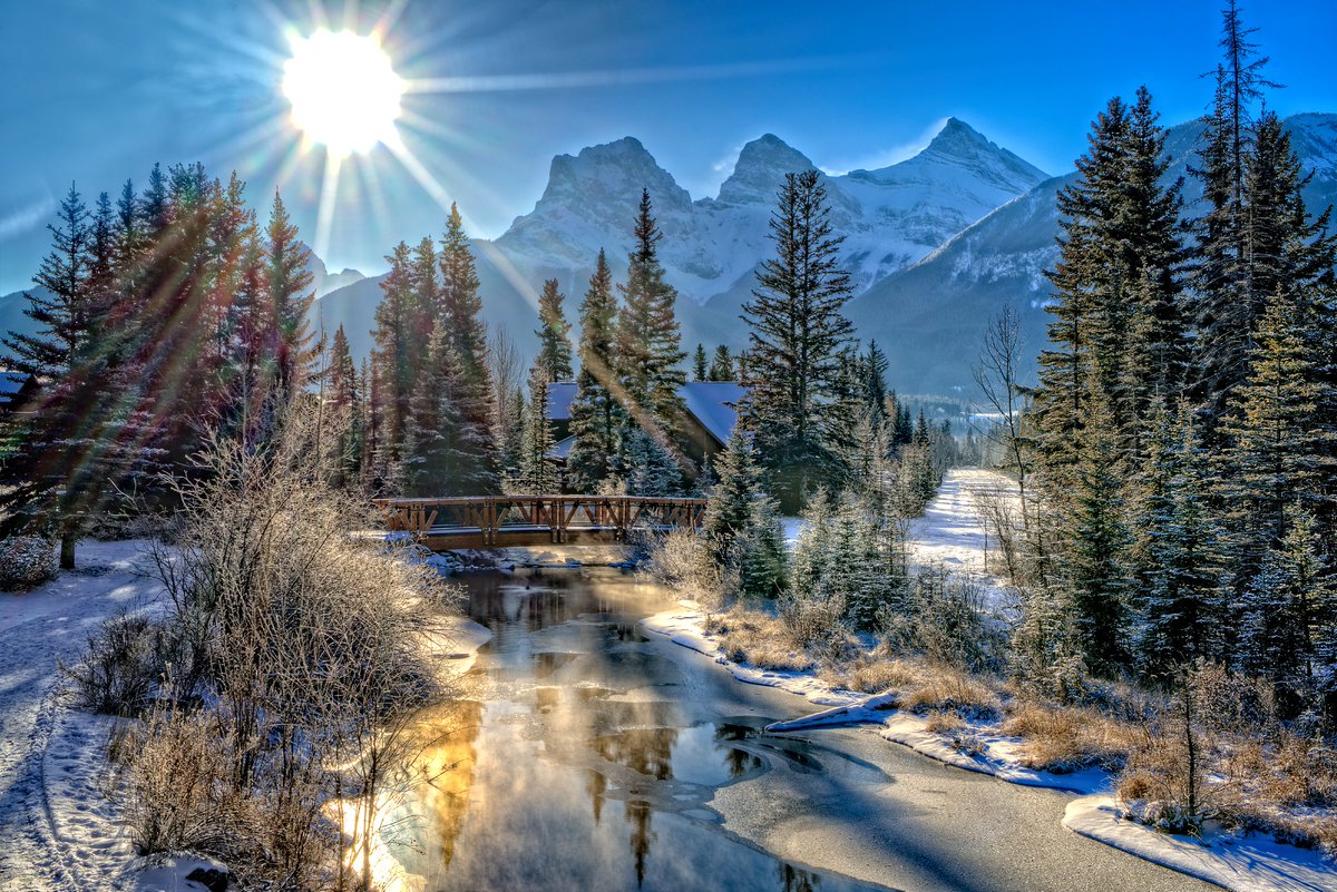 Spring Creek tweet media