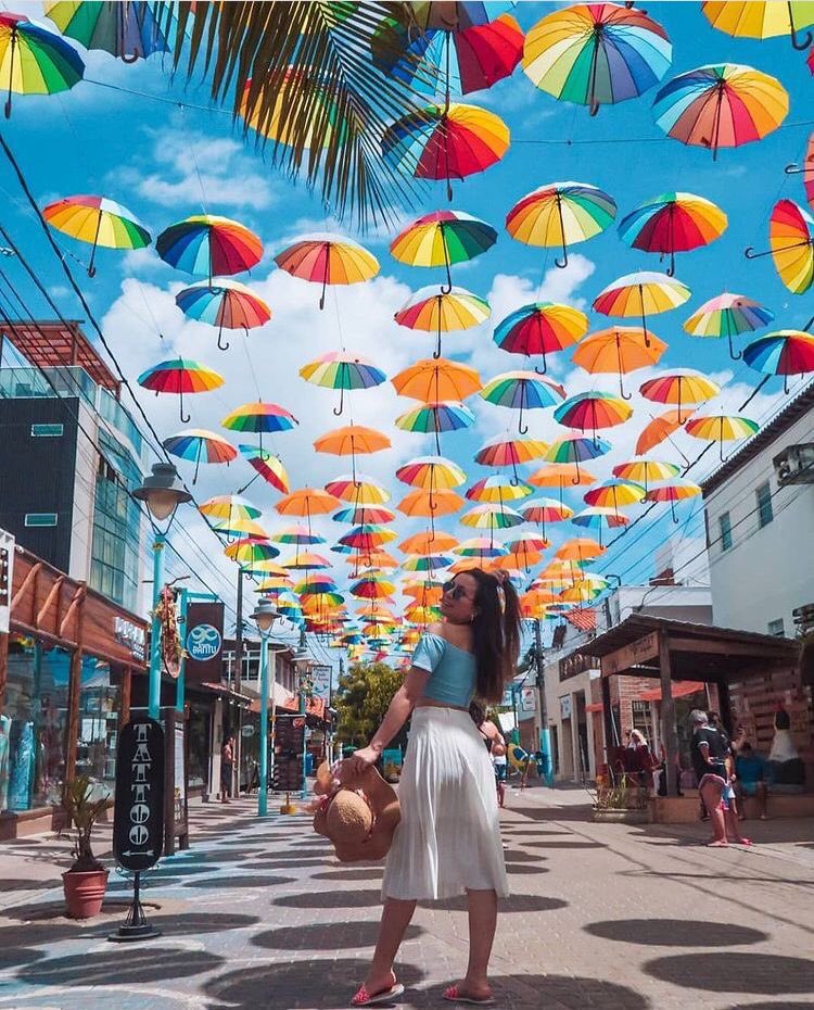 Shea Creatives | TikTok Ad Creative Specialist tweet media