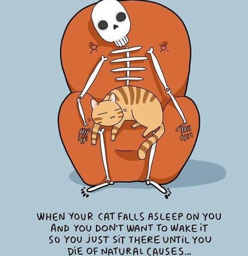 burtonpaul's tweet photo. Yup, that’s me👇🏼 😂 https://t.co/JYkOYXskBI