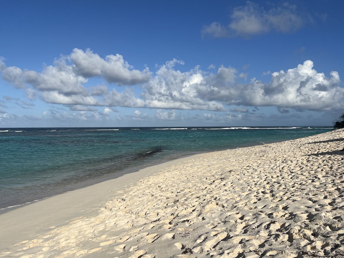 priceyharrison's tweet photo. #plastic trash picked up a short walk down this beautiful beach on Anegada, BVI (Big Bamboo, Loblolly Bay). It’s out of their control, iwashing in from the Atlantic Ocean. We can and must do better! #BreakFreeFromPlastics #EndPlasticUse #ActOnClimate https://t.co/XW4csRtjlh