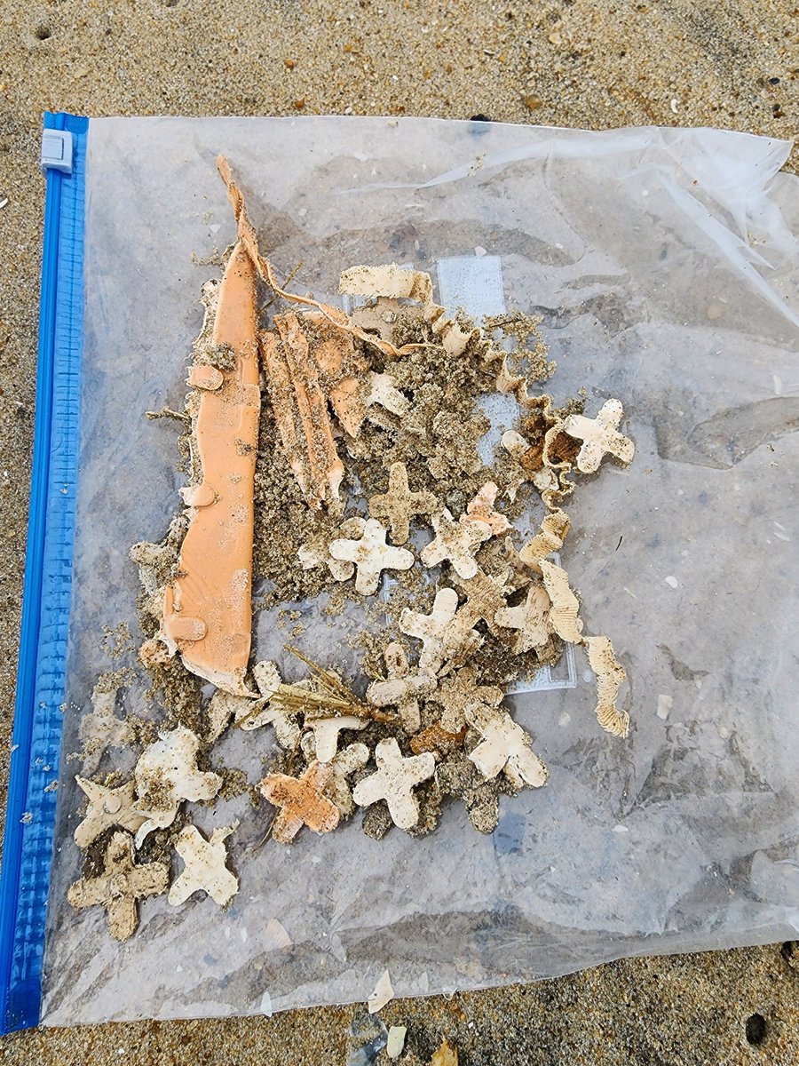 MissMcButterfly's tweet photo. Dear @TownofOceanCity #OceansCalling in #OCMD is causing a negative environmental impact. I love the idea of the concert but 3 months after a concert didn't happen and it's still a mess. #LeaveOnlyYourFootprints https://t.co/xHmxUw102W