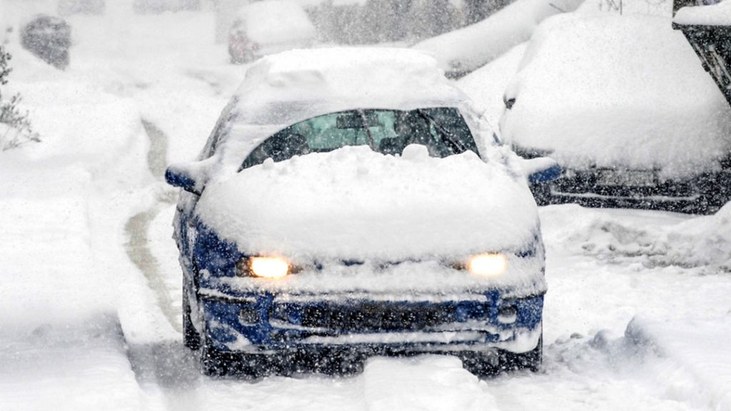 MayoClinic Employees tweet media