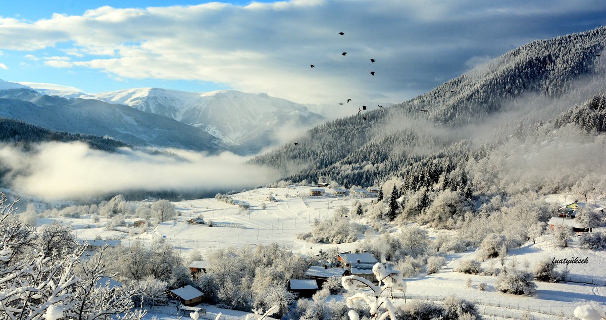 Şavşat Senfonisi...