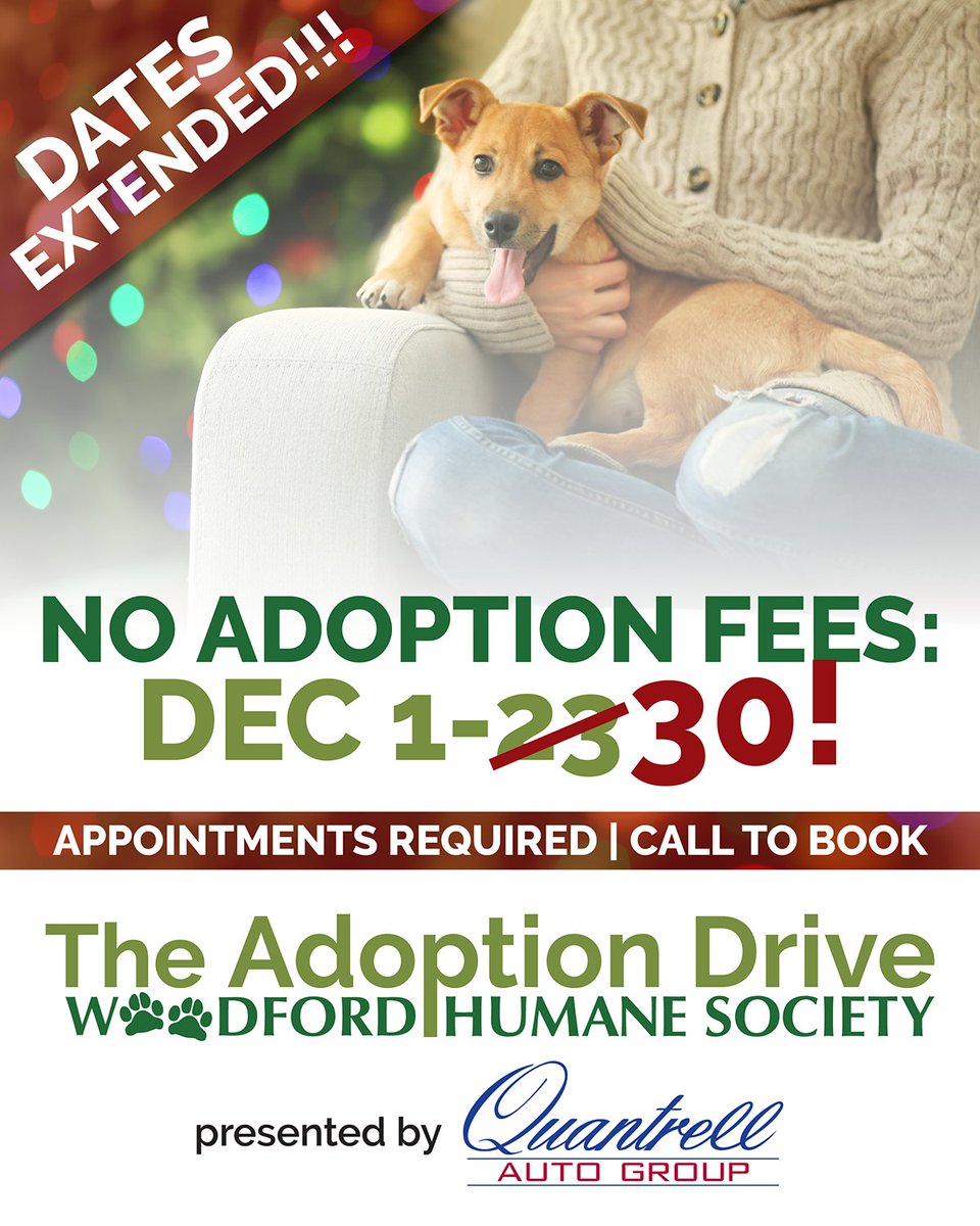 A whole extra week of zero adoption fees thanks to Quantrell Auto Group! Appointments required - call us any day after 10:00 am to book. Closed Dec 24-25. <a href="/QuantrellAG/">Quantrell Auto Group</a>