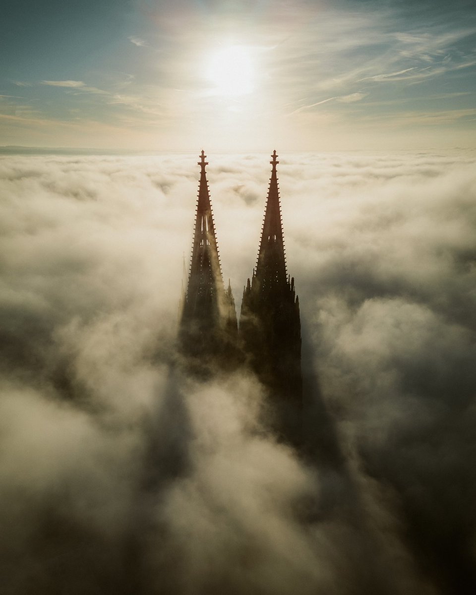 johannes hoehn 🧢 @pangea tweet media