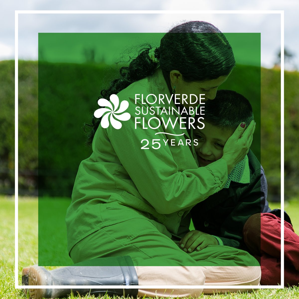 Florverde® tweet media