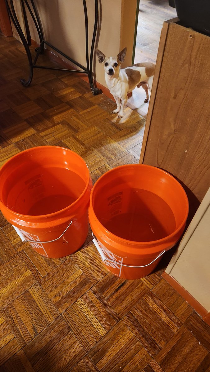 Mostly Goats on Twitter "Buckets on buckets of heated water the storm