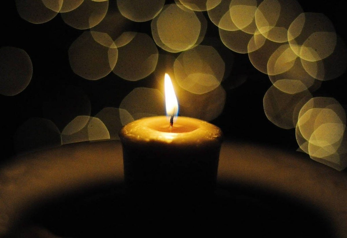 sacredmists's tweet photo. 🎁 Last-Minute Digital Certificates for Instant or Scheduled Delivery! Fresh Bayberry Wax Votives to Ring in the New Year.🔥 Visit us at https://t.co/OF6INCZygO! - https://t.co/ZDsgaXXrVp https://t.co/Zj9tNb6AYi