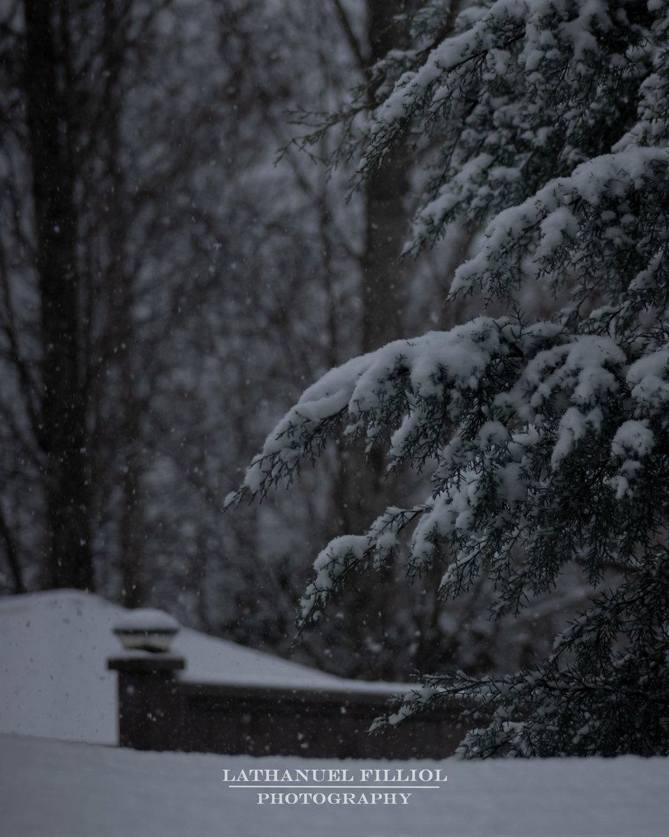ohsnapitysnapz's tweet photo. Some photos I got of the snow before we got the big dump of snow.
#photography #Snowmageddon #BCSnow #bcstorm #bcsnowstorm #snow #WinterStorm #winter #bc #Canon https://t.co/40LG6uyIlj