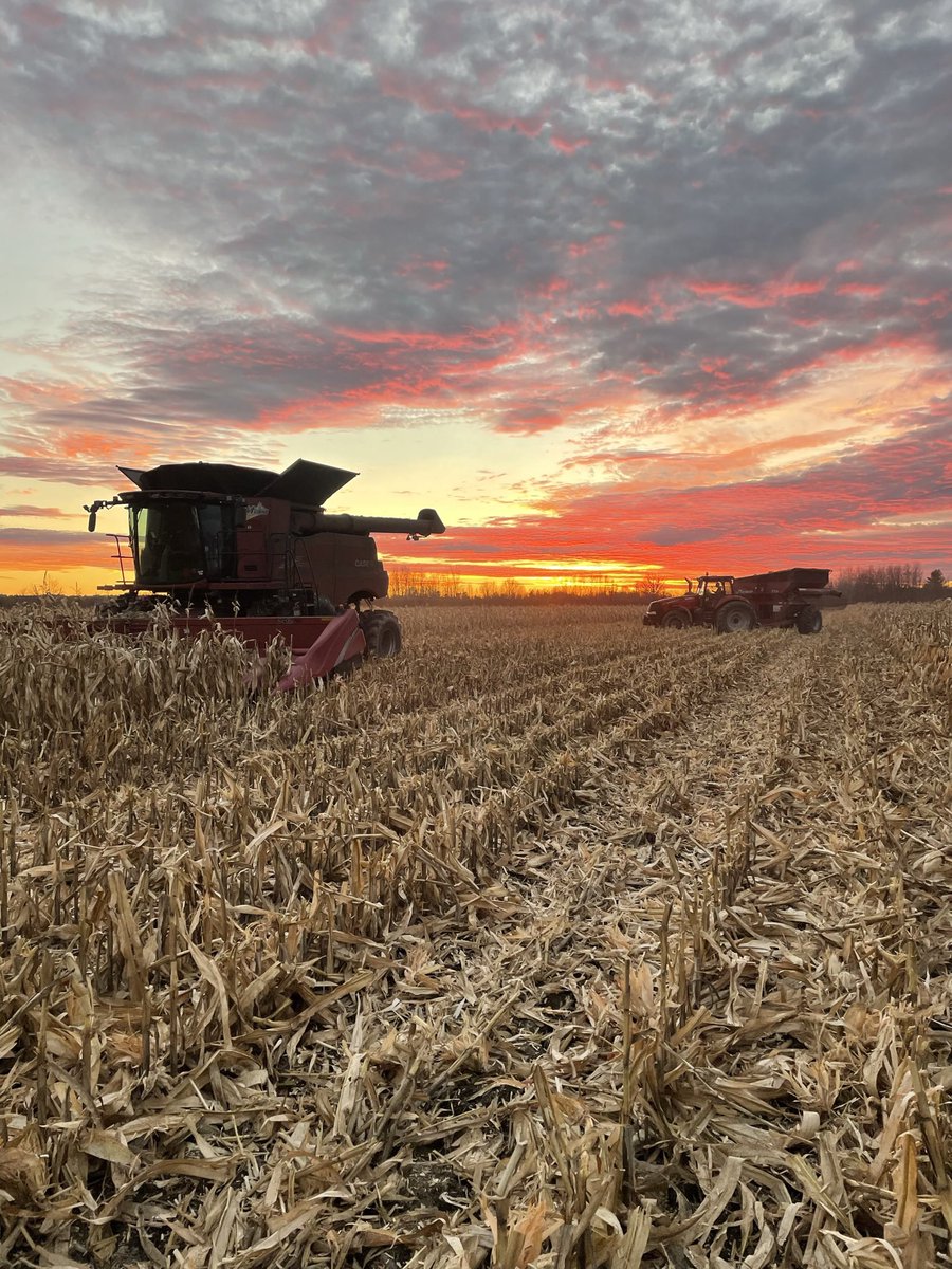 Grant Vaillancourt tweet media