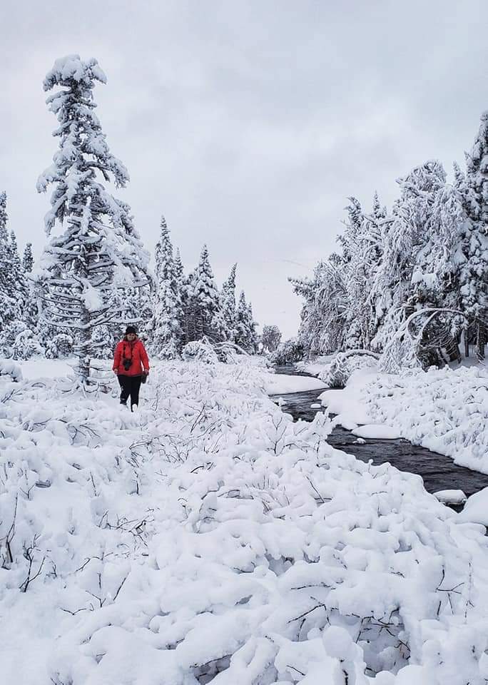 keepexploringCB's tweet photo. The first day of winter marks the start of longer days! π For us, it means the winter adventure season has begun βοΈβοΈ #firstdayofwinter #getoutside #keepexploring #capebretonadventure #explorecbwinter #capebretonisland https://t.co/pmsmVqJUNw