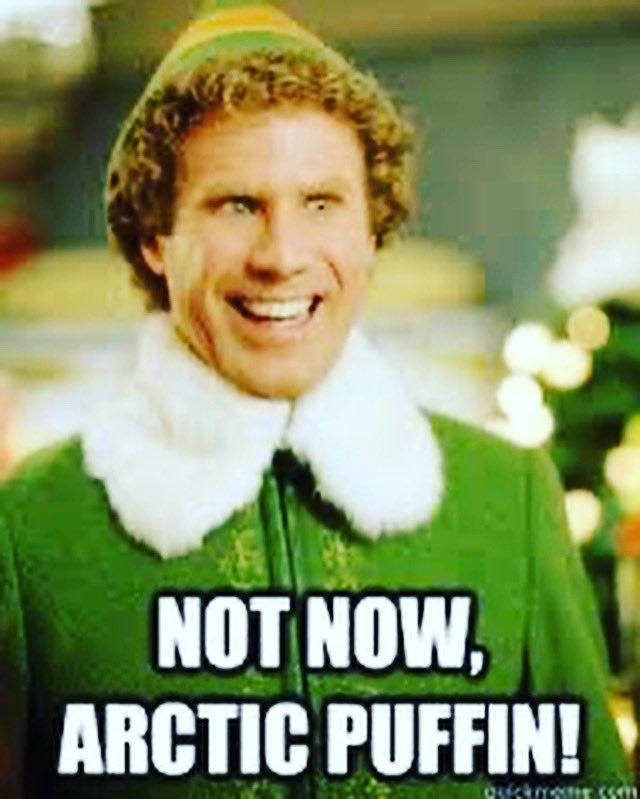 propergandiste's tweet photo. Pre-holiday mood be like #Elf #Forevs https://t.co/p6PO57qUH7
