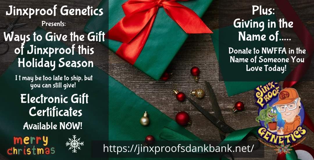 It's too late to ship by Christmas, but that doesn't mean you can't give the gift of Jinxproof! Electronic Gift Certificates are available now! Plus, consider giving to NWFFA in the name of someone you love today! 🎄 #CannabisCommunity #Cannabis #MerryChristmasToAll #GrowYourOwn