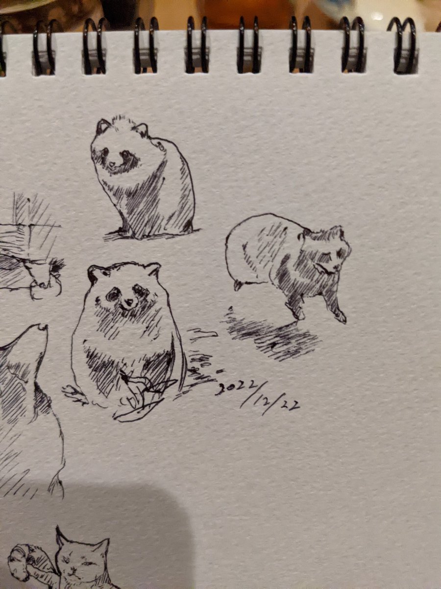 たぬきよりきつねが好き なら何故描いた カキカキ。 