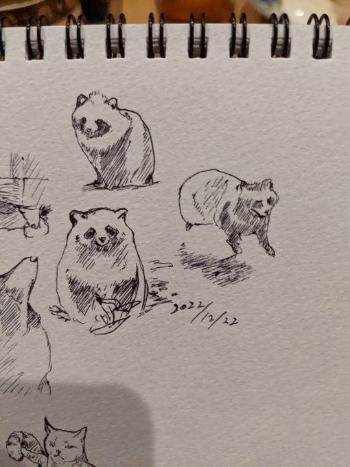 たぬきよりきつねが好き なら何故描いた カキカキ。 