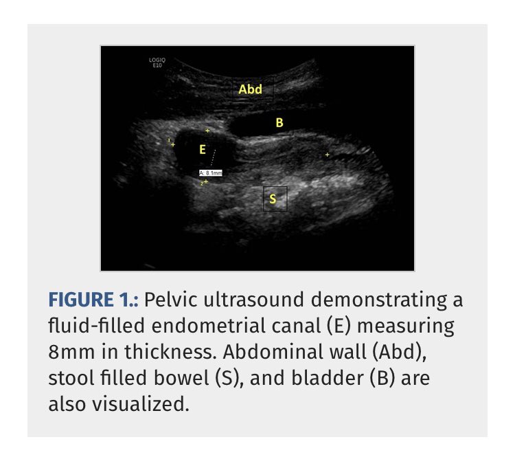 JPGN Reports tweet media
