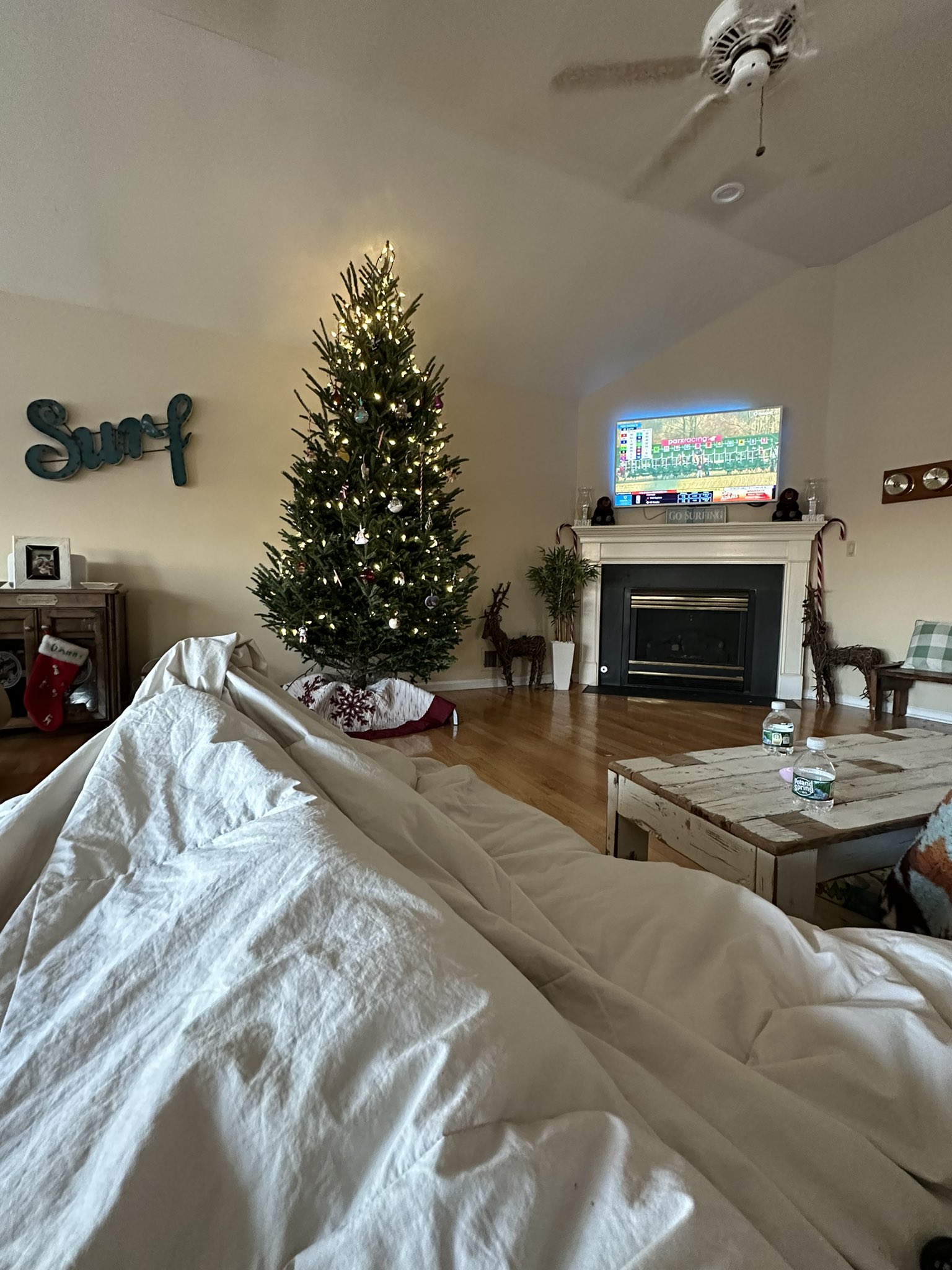 Shoe Eats TURF for Breakfast on Twitter "home chilling after surgery ️
