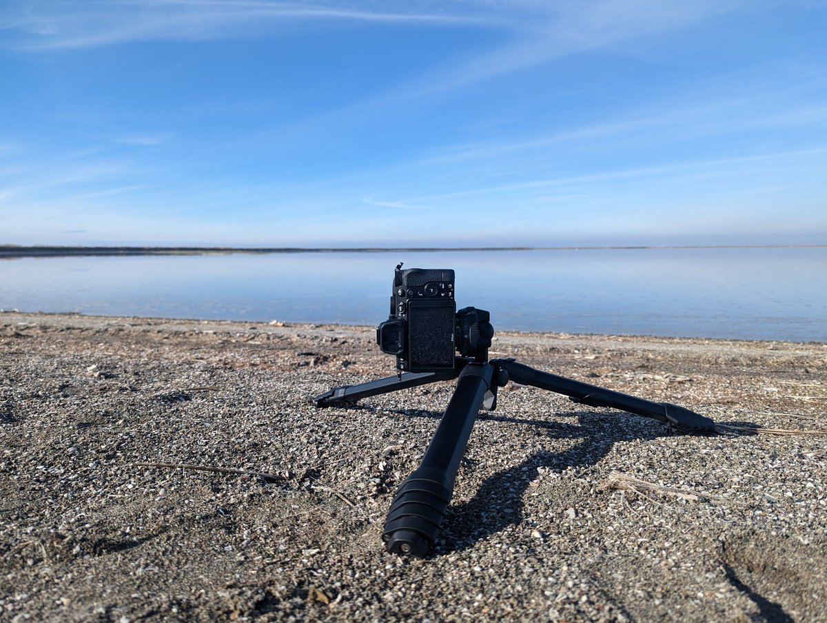 🦋 @tegfox.blue tweet media